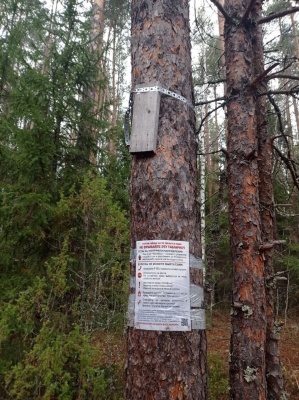 Стрелки жизни - 8.jpg